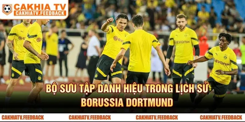 Bộ sưu tập danh hiệu trong lịch sử Borussia Dortmund